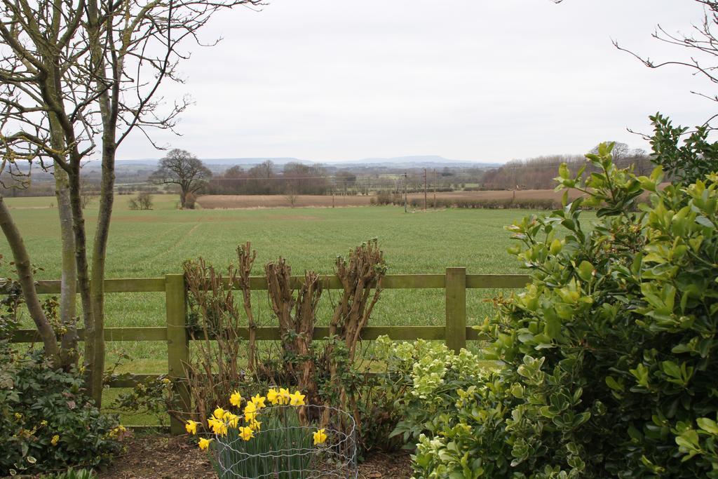 Little Holtby B&B Kirkby Fleetham Exteriér fotografie